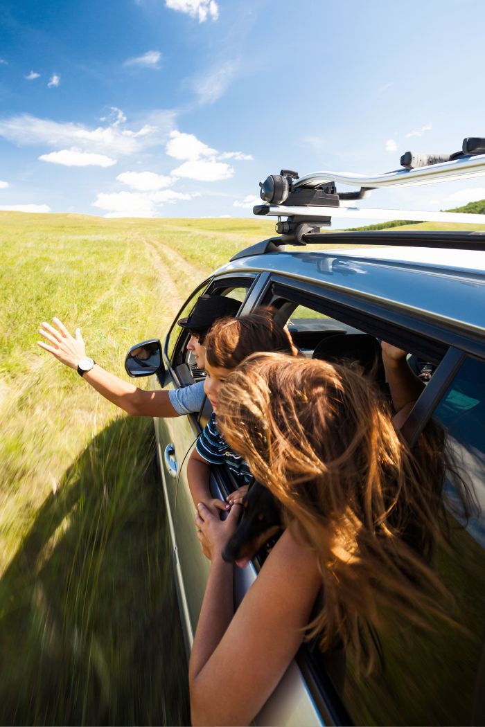trip in the car with driver